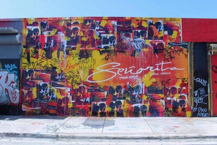 Shawn Mendes Senorita Facebook 2019 June