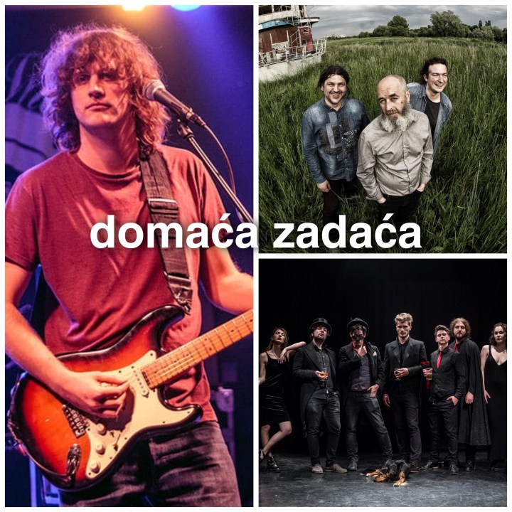 DZ 008 2020-06-11 V2